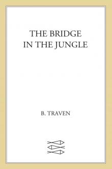 Bridge in the Jungle Bridge in the Jungle