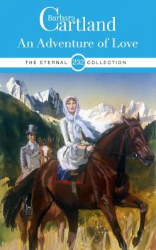 An Adventure of Love An Adventure of Love