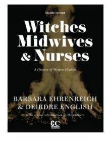 Witches, Midwives, and Nurses Witches, Midwives, and Nurses