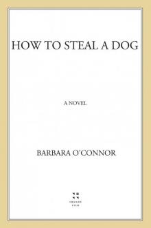 How to Steal a Dog