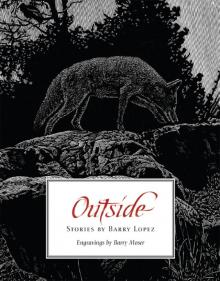 Outside Outside