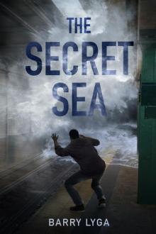 The Secret Sea The Secret Sea