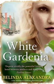 White Gardenia White Gardenia
