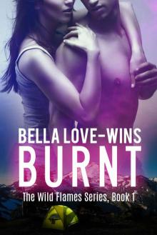 BURNT (The Wild Flames #1)