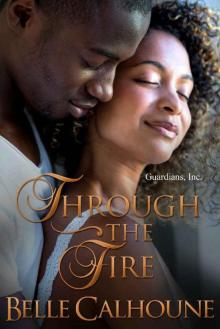 Through The Fire (Guardians, Inc. Book 2) Through The Fire (Guardians, Inc. Book 2)