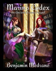Marin's Codex Marin's Codex