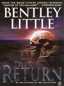 The Return The Return