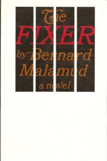 The Fixer The Fixer