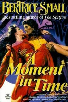 A Moment in Time A Moment in Time