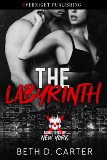 The Labyrinth (Monsters of New York)