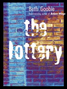 Lottery Lottery