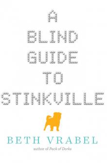 A Blind Guide to Stinkville A Blind Guide to Stinkville