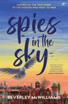 Spies in the Sky Spies in the Sky