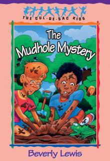 The Mudhole Mystery The Mudhole Mystery