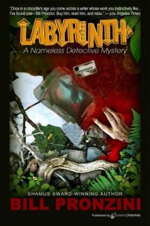 Labyrinth (The Nameless Detective) Labyrinth (The Nameless Detective)
