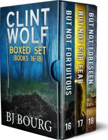 Clint Wolf Boxed Set: Books 16 - 18