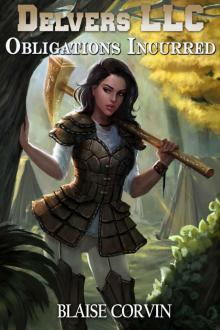 Delvers LLC: Obligations Incurred