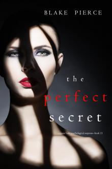 The Perfect Secret The Perfect Secret