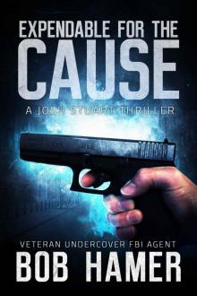 Expendable for the Cause (Josh Stuart Thriller Book 2)