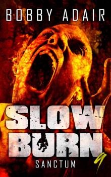Slow Burn (Book 9): Sanctum