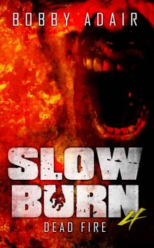 Slow Burn: Dead Fire, Book 4