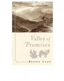 Valley of Promises