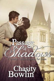 Passage of Shadows: The Victorian Gothic Collection Book Three