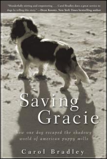 Saving Gracie Saving Gracie