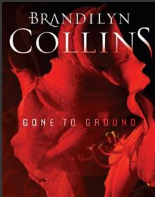 Gone to Ground Gone to Ground