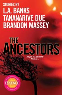 The Ancestors The Ancestors