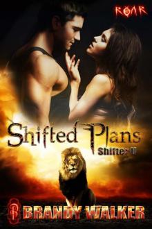 Shifted Plans Shifted Plans