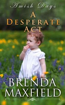 Amish Days: A Desperate Act: An Amish Romance Short Story (Hollybrook Amish Romance)