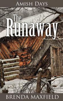 Amish Days: The Runaway: An Amish Romance Story (Hollybrook Amish Romance)