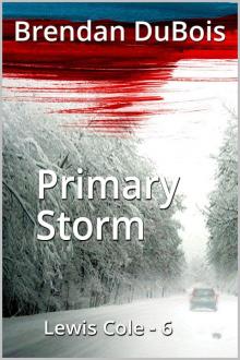 Primary Storm Primary Storm