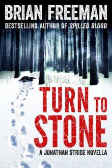 Turn to Stone Turn to Stone