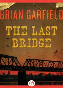The Last Bridge