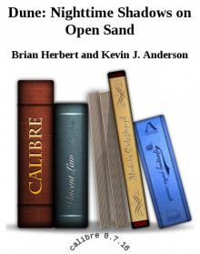 Dune: Nighttime Shadows on Open Sand Dune: Nighttime Shadows on Open Sand