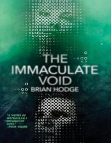 The Immaculate Void The Immaculate Void