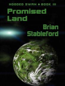 Promised Land Promised Land