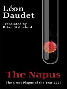 The Napus The Napus