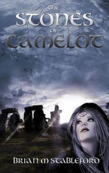 The Stones of Camelot The Stones of Camelot