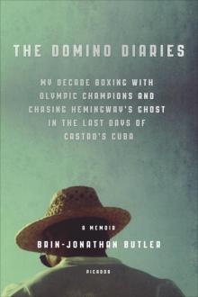 The Domino Diaries The Domino Diaries