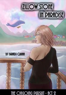 Zillow Stone in Paradise