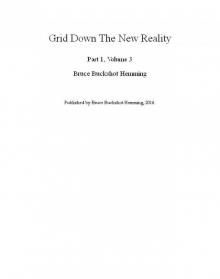 Grid Down the New Reality