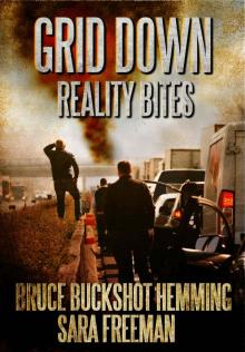 Grid Down Reality Bites Grid Down Reality Bites