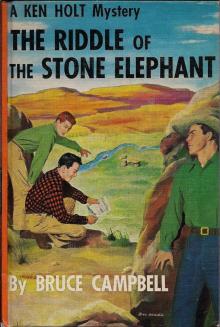 The Riddle of the Stone Elephant