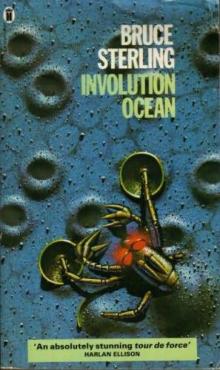 Involution Ocean Involution Ocean