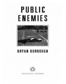 Public Enemies