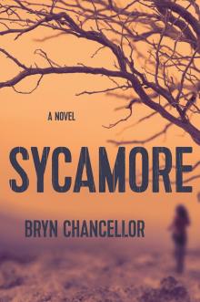 Sycamore Sycamore