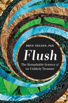 Flush Flush